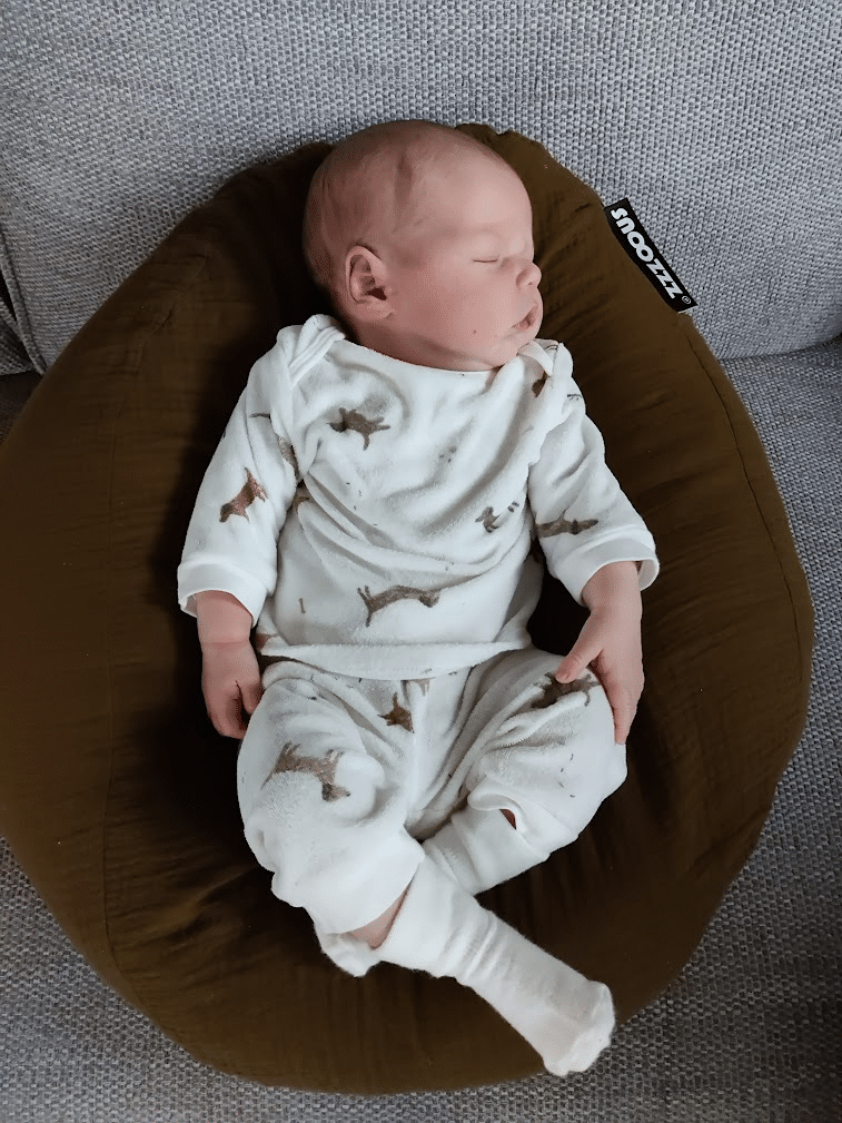 Sieb Fedde Wijdenes, born on 26-01-2023
